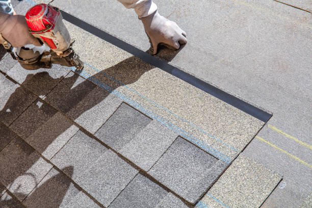 Best Roof Ventilation Installation  in Crainvle, IL